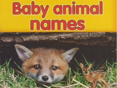 【免费跟读】第十一期微课堂《Baby  animal names 》开始报名啦！