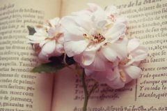 【哲理图文】27本文学名著的最后一句话，值得回味~