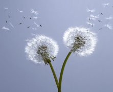 【睿丁深思】你都在混，孩子凭什么要拼？