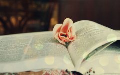 这20种学习方法总有适合你的!