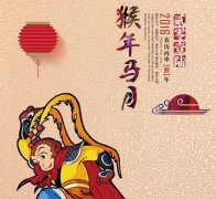 【睿丁科普】传说中的“猴年马月”就要到了！