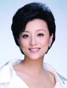 杨澜: 我可以接受孩子失败, 但不能接受他没有尝试
