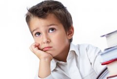 一个小学生心中理想的教育