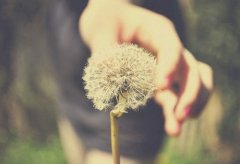 当孩子受到伤害后，除了道歉你还能做什么？