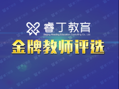 睿丁教育追求高品质教学 力争新浪金牌教师