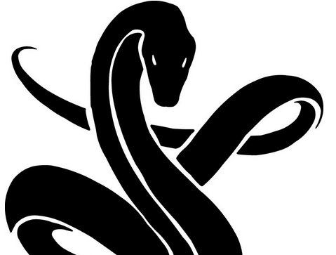 保罗历险记：书房里的蟒蛇