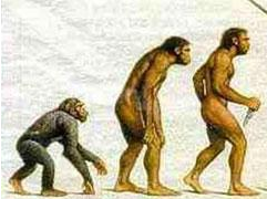 【家庭对话】第一个人是怎么来的？