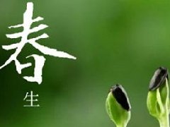 【睿丁分享】描写春天的好词、好句、好段，再不愁孩子写作文！