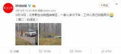 【睿丁教育】春天来了，孩子撒欢也要注意安全