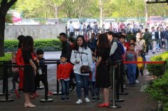 【教育制度】幼升小考，家长拷问的是教育的良心