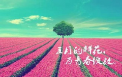 【青春·绽放】热烈庆祝睿丁英语第36期教师岗位认证培训圆满结束。