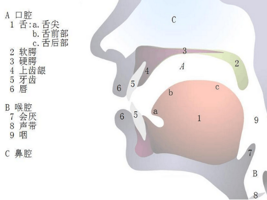 【资讯中心】英语发音的方法与技巧